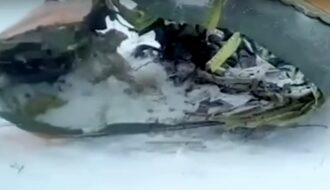 Спасатели обнаружили на месте падения АН-148 «черный ящик»