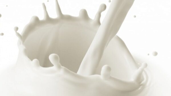 Специалисты забраковали 95 партий опасной и некачественной молочной продукции