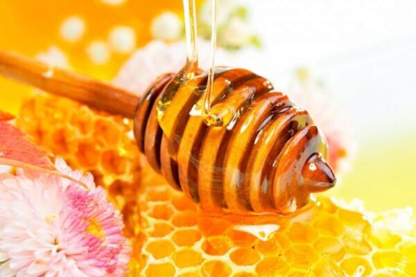 Ученые: Мед и авокадо помогут усилить либидо