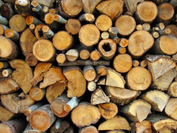 Ученые: Улучшенная древесина может заменить сталь