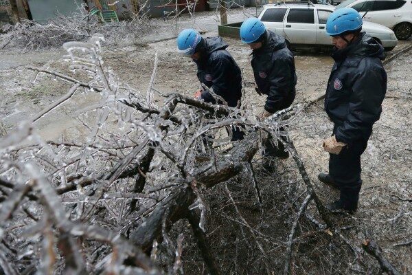 Упавшее дерево придавило десять машин в Москве