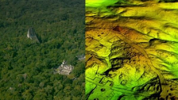 В джунглях Гватемалы найдены неизвестные города, которые переворачивают представления о цивилизации майя