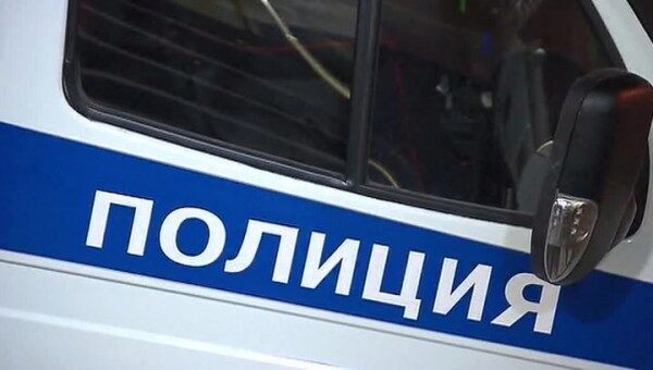 В Москве поезд задавил мужчину на станции "Новая"