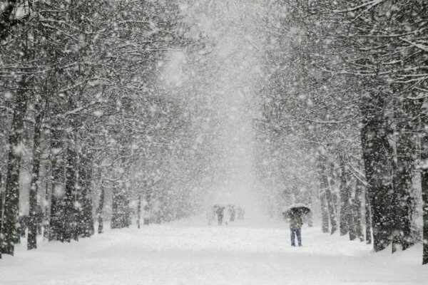 В Москве прошел сильнейший этой зимой снегопад
