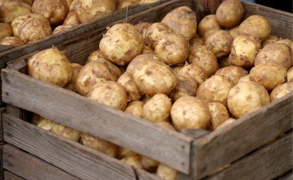 В Мурманской области картофель значительно подорожал всего за неделю