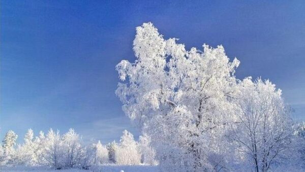 В Нижегородской области ожидаются морозы до минус 30 градусов