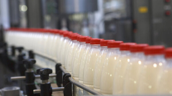 В Нижегородской области с начала года произведено 33,3 тыс. тонн молока