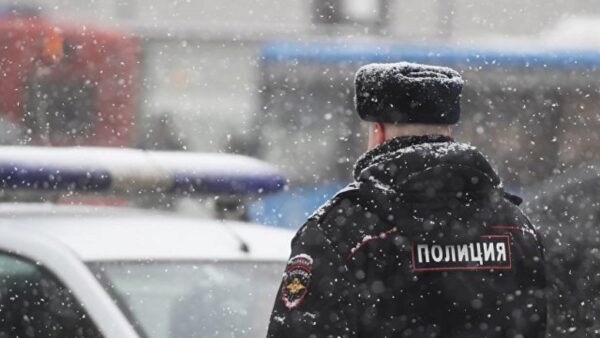 В Новосибирске иномарка въехала в пешеходов: погибли женщина и ребенок