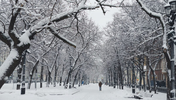 В российской столице выпало рекордное количество снега за всю историю наблюдений