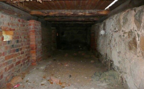 В Туле найден мумифицированный труп в подвале заброшенного дома
