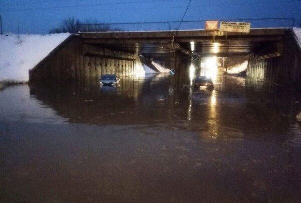 В Воронеже автомобили застряли в огромной луже под мостом