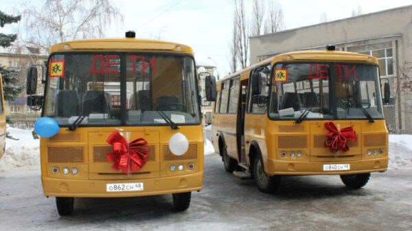 Детей в школы будут возить на новых автобусах