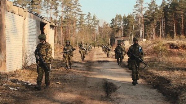 Эстония проведёт в мае самые крупные военные учения