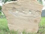 На кладбище в Техасе нашли могилу пришельца