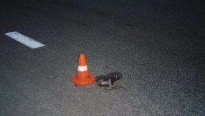 На трассе «Тамбов-Шацк» сбили мужчину: водитель скрылся с места ДТП