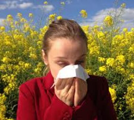 Ученые предложили лечить аллергию "коктейлем" из 6 раздражителей