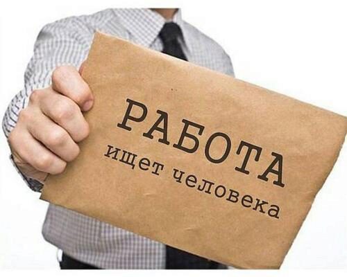 В Новосибирске определены пять самых высокооплачиваемых должностей