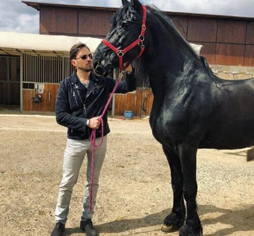 Лошадь и конь: Фанаты высмеяли новое фото в Instagram Александра Реввы