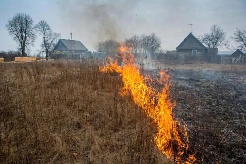 Любители шашлыка подожгли траву в Курганской области