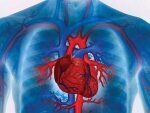 Медики назвали 5 привычек, которые губят сердце