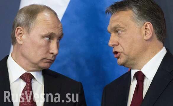 На выборах в Венгрии уверенно побеждает «друг Путина»