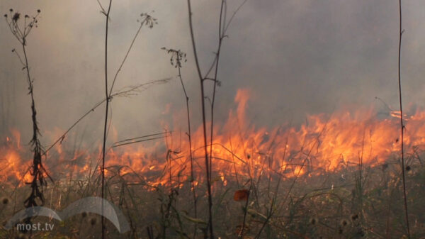 Огонь уничтожил 100 квадратных метров сухой травы в Липецке. Пострадали люди
