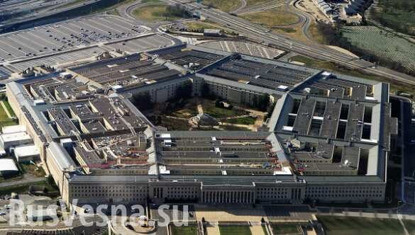 Пентагон оценил профессионализм российских военных во время удара США 