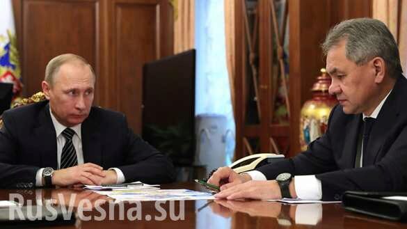 Шойгу докладывает Путину о ситуации в Сирии после атаки западной коалиции