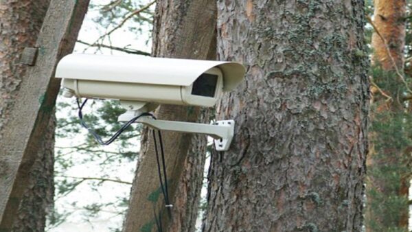 В Нижегородской области установят 47 видеокамер для обнаружения лесных пожаров