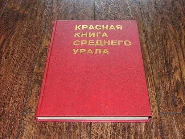 В Свердловской области обновили Красную Книгу