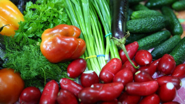 Цены на овощи сравнили в липецких магазинах