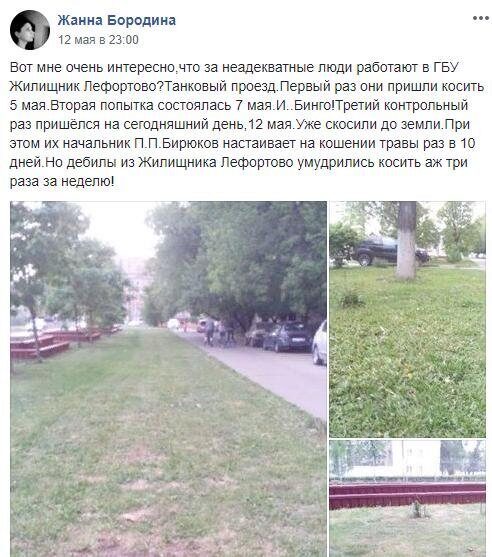 Москвичи продолжают возмущаться "антиозелением" столицы