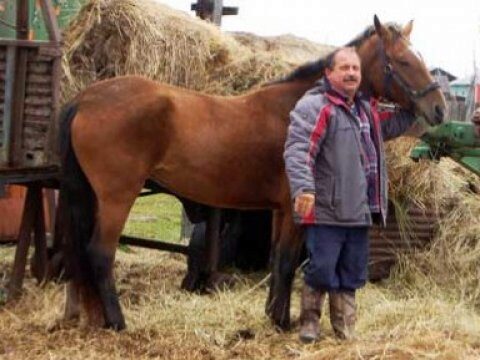 На Камчатке депутат от «Справедливой России» попросил парковку для коня рядом с правительством