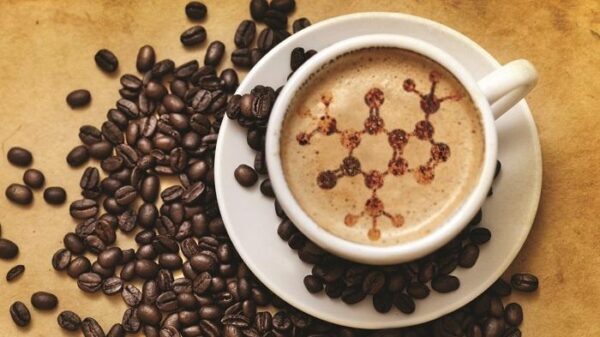 Назван идеальный алгоритм употребления кофе