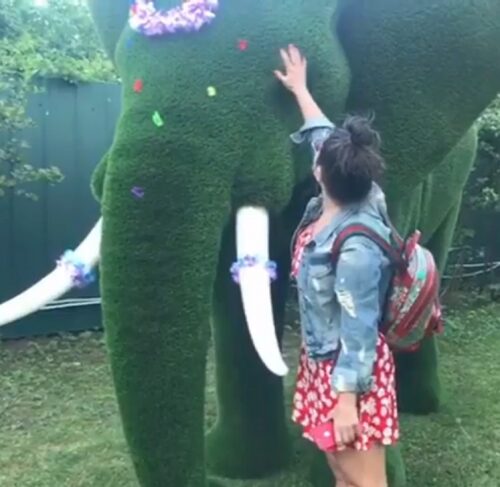 Тарзан подарил Королёвой на 45-летие огромного искусственного слона