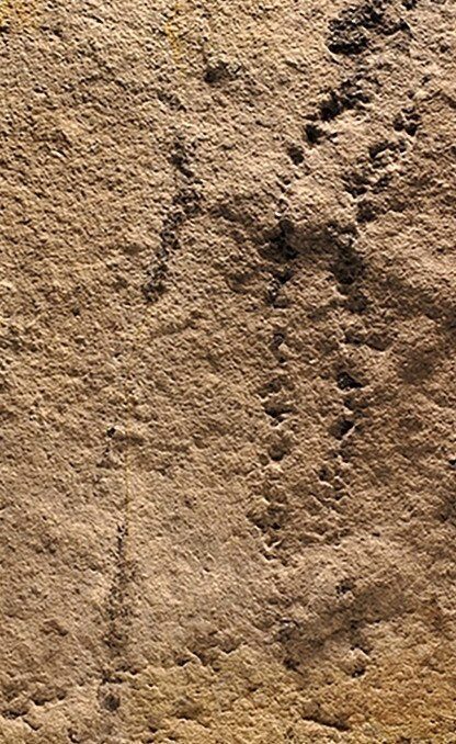 Ученые обнаружили древнейшие следы на Земле