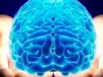 Ученые рассказали о серьезных последствиях сотрясения мозга, полученного в молодости