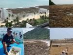 Жители Таиланда напуганы: вода отошла от берега на два километра
