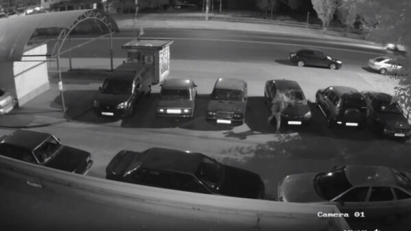 Ночных краж из машин в Советском округе станет меньше