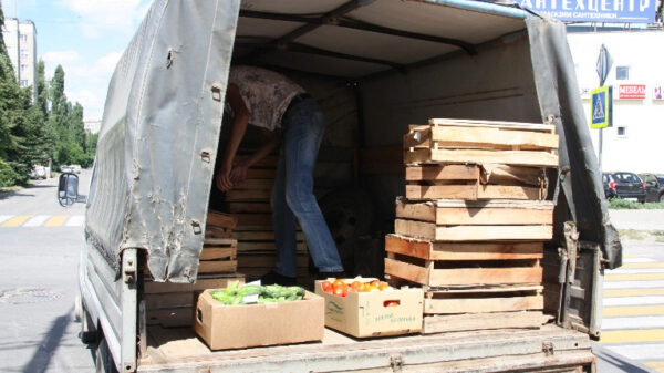 В Липецке изъяли 350 килограммов ягод, овощей и фруктов