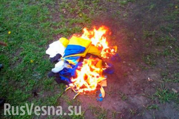 Парень с девушкой сорвали и подожгли флаг Украины в оккупированной части ДНР