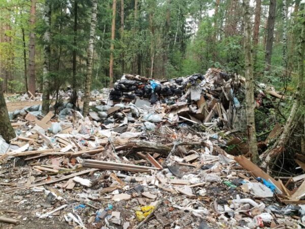 Подмосковье: в Щелковском лесу обнаружена стихийная свалка строительного мусора