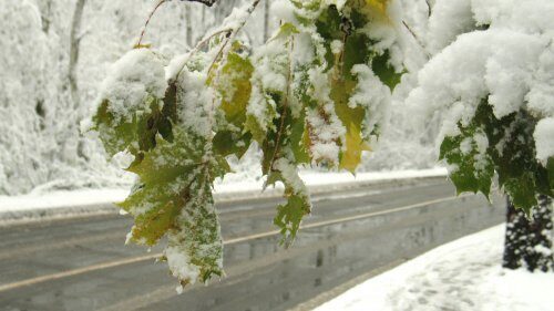В Кемеровской области выпал первый снег