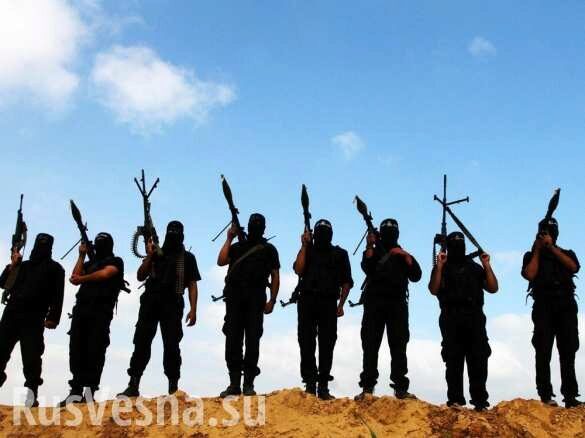 В СНГ рассказали о планах террористов создать «халифат» в Центральной Азии