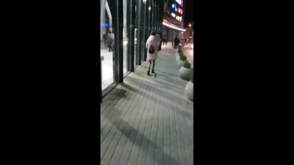 Девушка выгуливает по улицам утюг. Видео