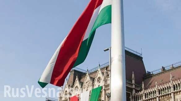 МИД Венгрии рассказал о планах на Закарпатье