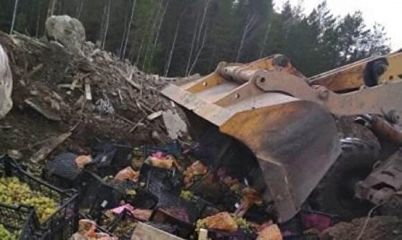 На Урале Россельхознадзор, ФСБ и таможенники уничтожили 2,5 тонны фруктов