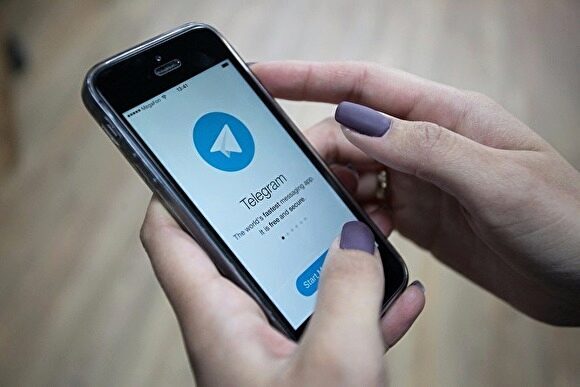 Полиция отрицает массовые проверки телефонов россиян на наличие Telegram