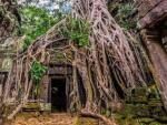 Ученые назвали причину упадка Ангкора