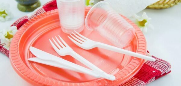 В ЕС запретили ватные палочки и одноразовую пластиковую посуду